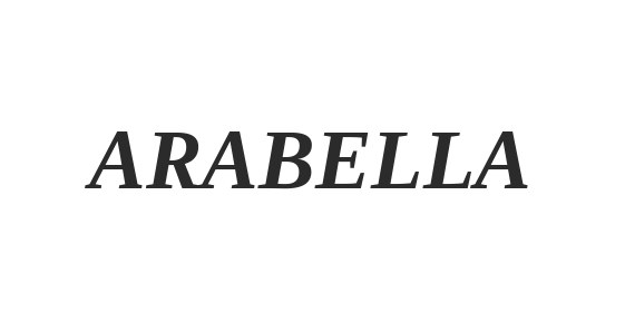 لوجو Arabella Developments