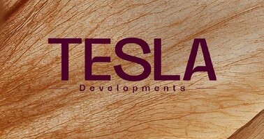 لوجو Tesla Developments
